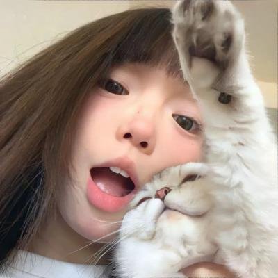 神舞飞扬